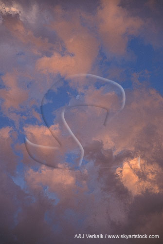 Abstract with harmonious salmon colored clouds in a bright blue sky