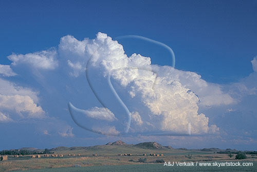 A cluster of Cumulus Congestus clouds building into a storm
