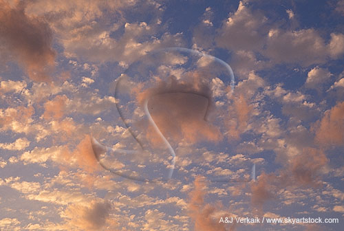 Carefree puffy clouds float across silver-edged cloud fragments
