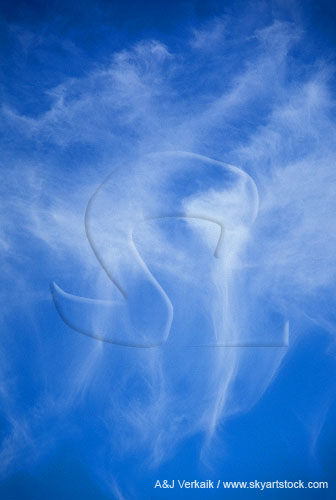 Abstract: a ballet of wispy clouds twirls in a blue sky