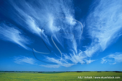 A spray of wispy Cirrus clouds expresses surprise
