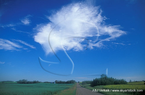 A single patch of dense Cirrus cloud in summer high pressure