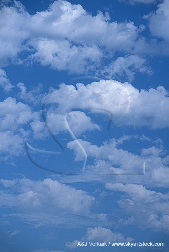 Abstract of puffy clouds floating free in a summery sky
