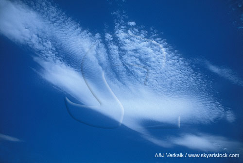 A soaring sweep of Altocumulus cloud 