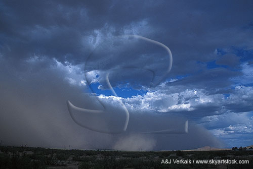 Haboob with each lobe a dust foot, showing gravity current 