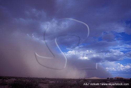 A large desert sandstorm (haboob), the result of downburst winds