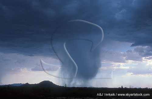 A small storm releases a cloudburst, leading to microburst evolution