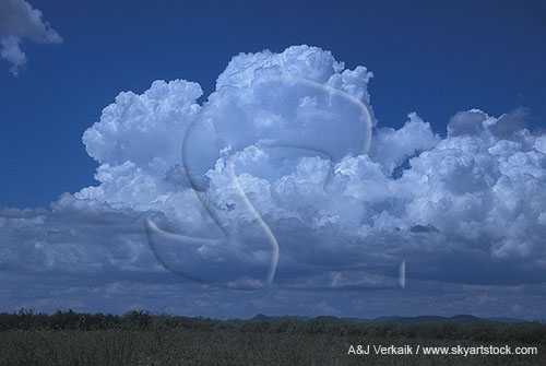 Cloud types, TCu: towering Cumulus clouds with cauliflower tops