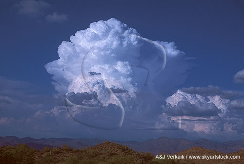 Boiling domes of towering Cumulus clouds grow vigorously