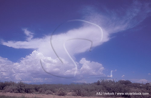 Vertical wind shear stretches clouds in various directions 