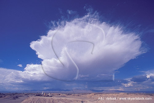 Cumulonimbus cloud type with fibrous anvil (Capillatus)