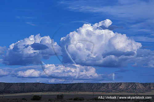 Cloud types, Cu: moderately tall Cumulus Mediocris clouds
