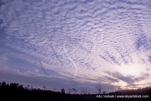 Cloud types, Ac: an Altocumulus cloud sheet with ripple pattern