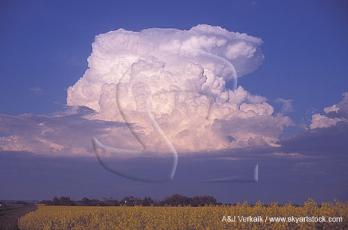 Cloud types, Cb: a heavy young Cumulonimbus storm cloud cell