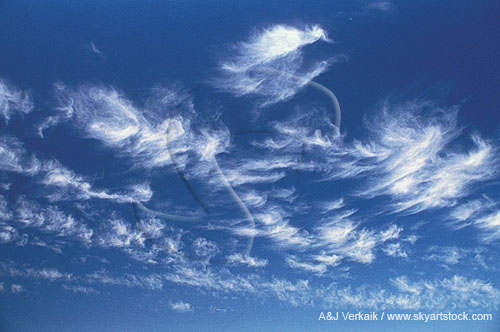 Carefree tufts of wispy clouds