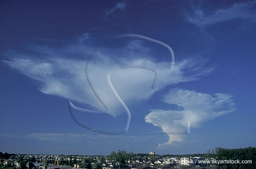 An old anvil plume and newer shower cloud show weather processes