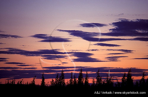 Lenticular Altocumulus clouds at twilight
