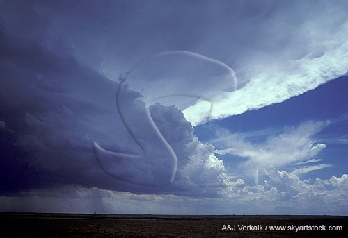 Flanking line of a severe storm with anvil backshear