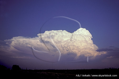 Thunderstorm cloud: a clear example of the multicell storm type