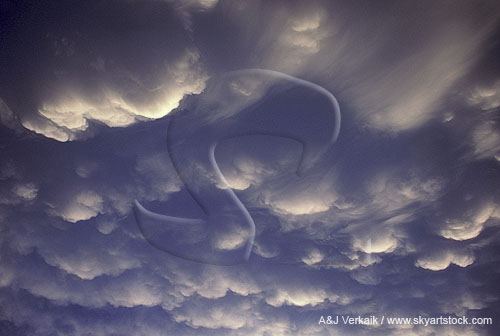 Mammatus clouds with backlit mamma pouches
