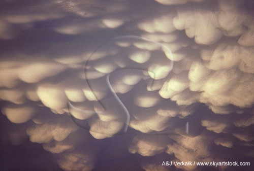 Round mamma pouches in a sky of Mammatus clouds