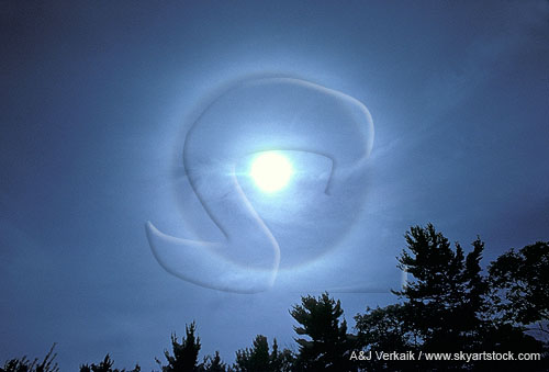 Bright solar halo in thin Cirrostratus clouds