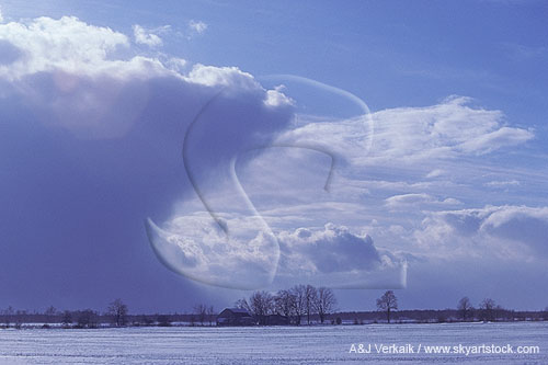 Snow clouds: a Stratocumulus anvil with snow shower