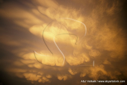 Mammatus clouds with golden pouches