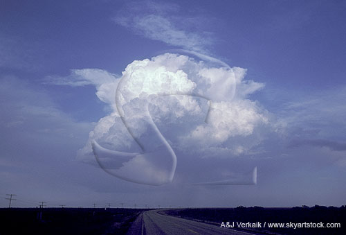 Unusual cloud shape inspires the imagination