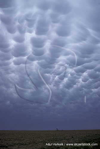 Brooding sky with Mammatus clouds
