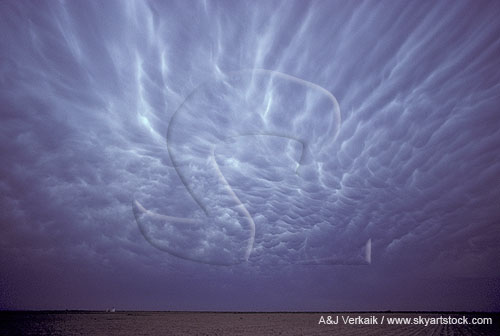 Mammatus clouds on large Cumulonimbus anvil cloud