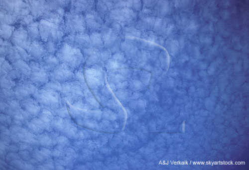 Sweeping abstract skyscape of puffy cloud texture