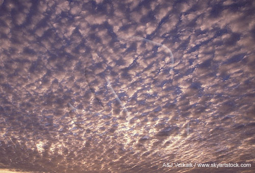 Meditative abstract of clouds