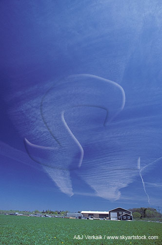 Cloud types: thin sheet of Cirrocumulus clouds