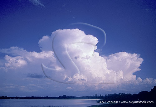 Cloud type: oceanic Cumulonimbus clouds