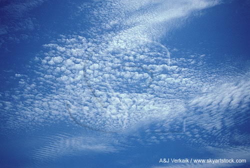 Abstract of a spray of clouds as it scatters across the sky