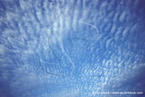 Abstract sky with puffy cloud texture