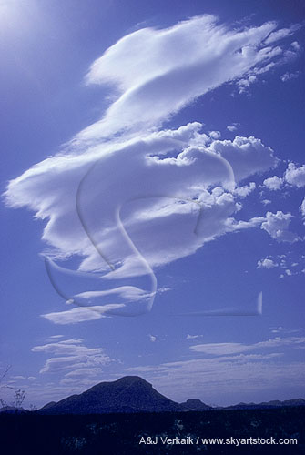Cloud types, Acl: lenticular Altocumulus clouds