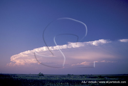 Wide view of supercell storm showing anvil structure
