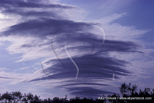 Rare lenticular Stratocumulus cloud in standing lee wave crest
