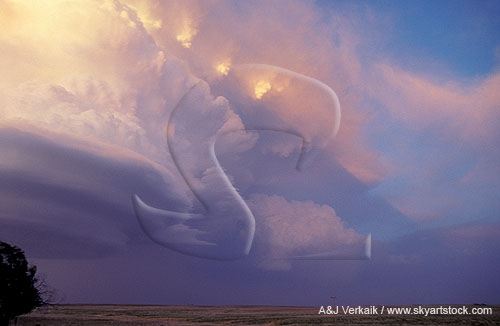 Beautifully sculpted storm cloud