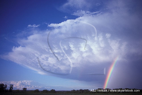 Large circular anvil wing with mamma and rainbow