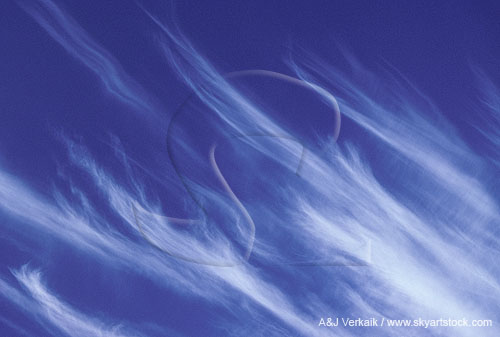Trails of fallstreak ice crystals from Cirrus clouds