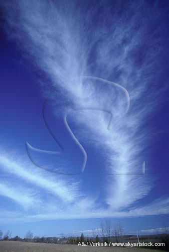 Cirrus plumes like feathers