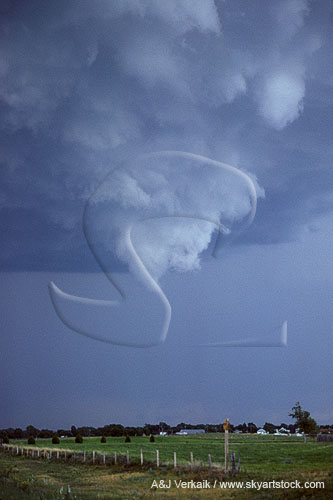 Transient funnel cloud on a rotating wall cloud