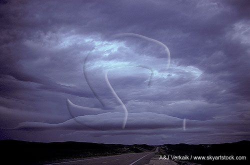 A smooth roll cloud on a weak outflow boundary