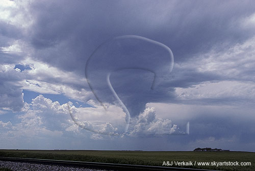 Inflow tails on small showers are not true funnels