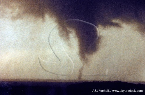 Multiple vortex tornado against a bright rain curtain