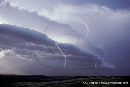 Dry gust front with high-based shelf cloud