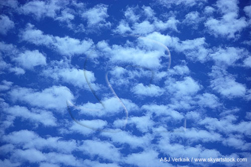 Abstract of clouds which float free in a blue sky